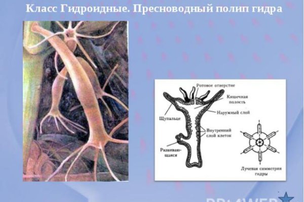 Кракен официальный сайт ссылка